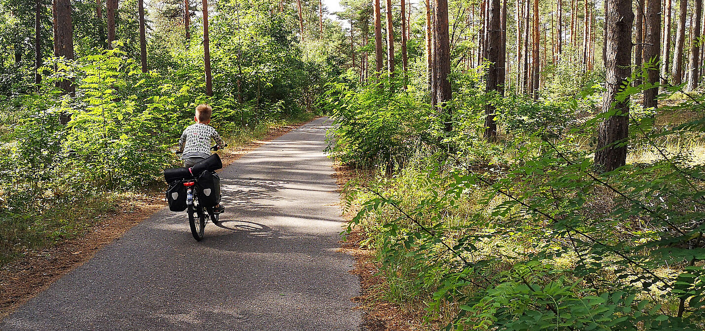 Kind fährt mit dem Rad im Wald